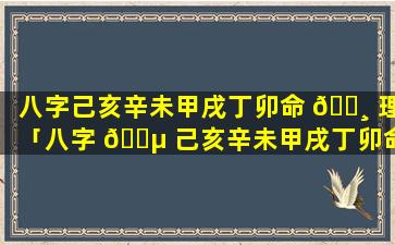 八字己亥辛未甲戌丁卯命 🌸 理「八字 🐵 己亥辛未甲戌丁卯命理详解」